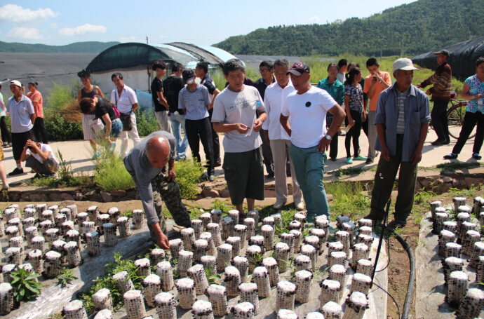 ͼΪ��ѵ�ֳ�