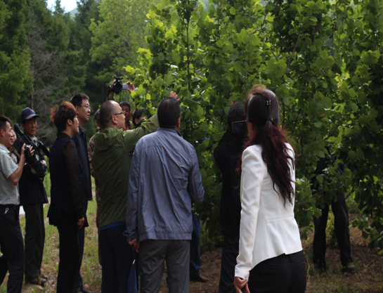 ͼΪ��ȡ��������������